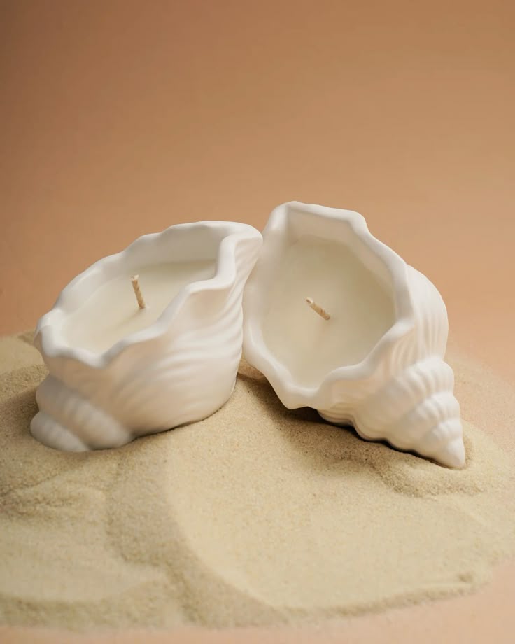 Conch Candle