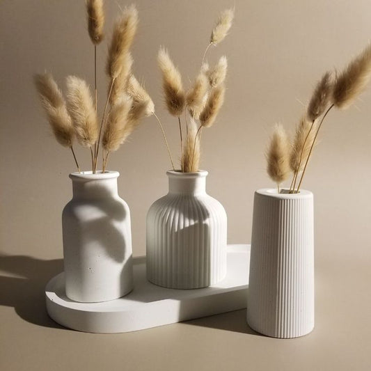 Earth Oasis – Gypsum Vase Curation