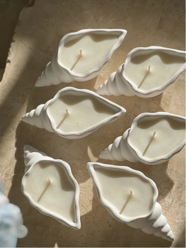Conch Candle