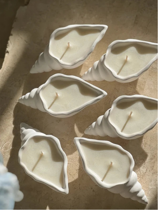 Conch Candle